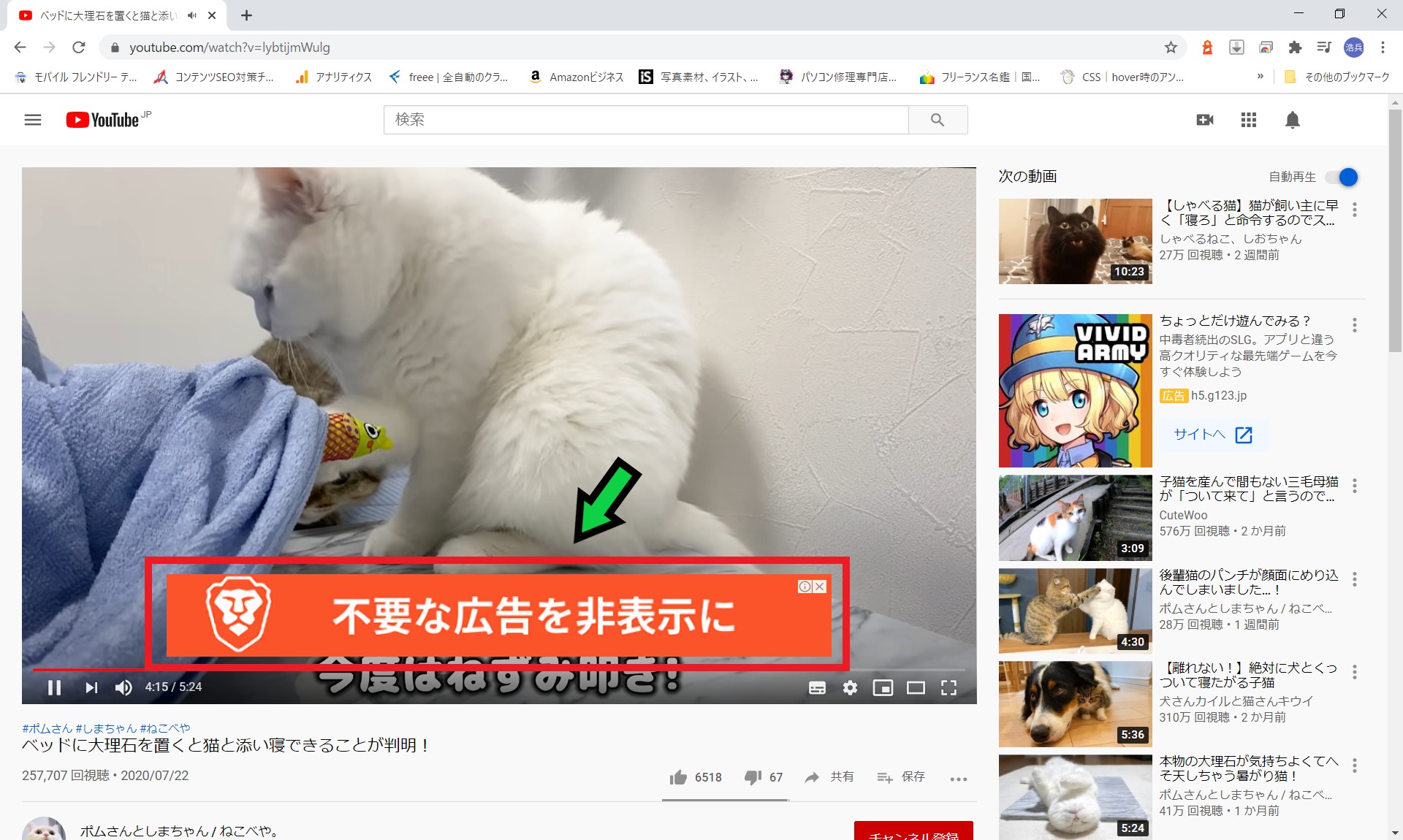 YouTube広告の「brave」は安全？【不要な広告を非表示に】