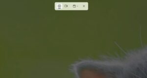 Windows11でスクリーンショットを撮る方法【画面撮影】