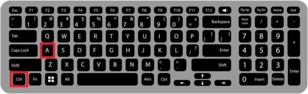 複数のファイルを選択する方法【Windows11 】